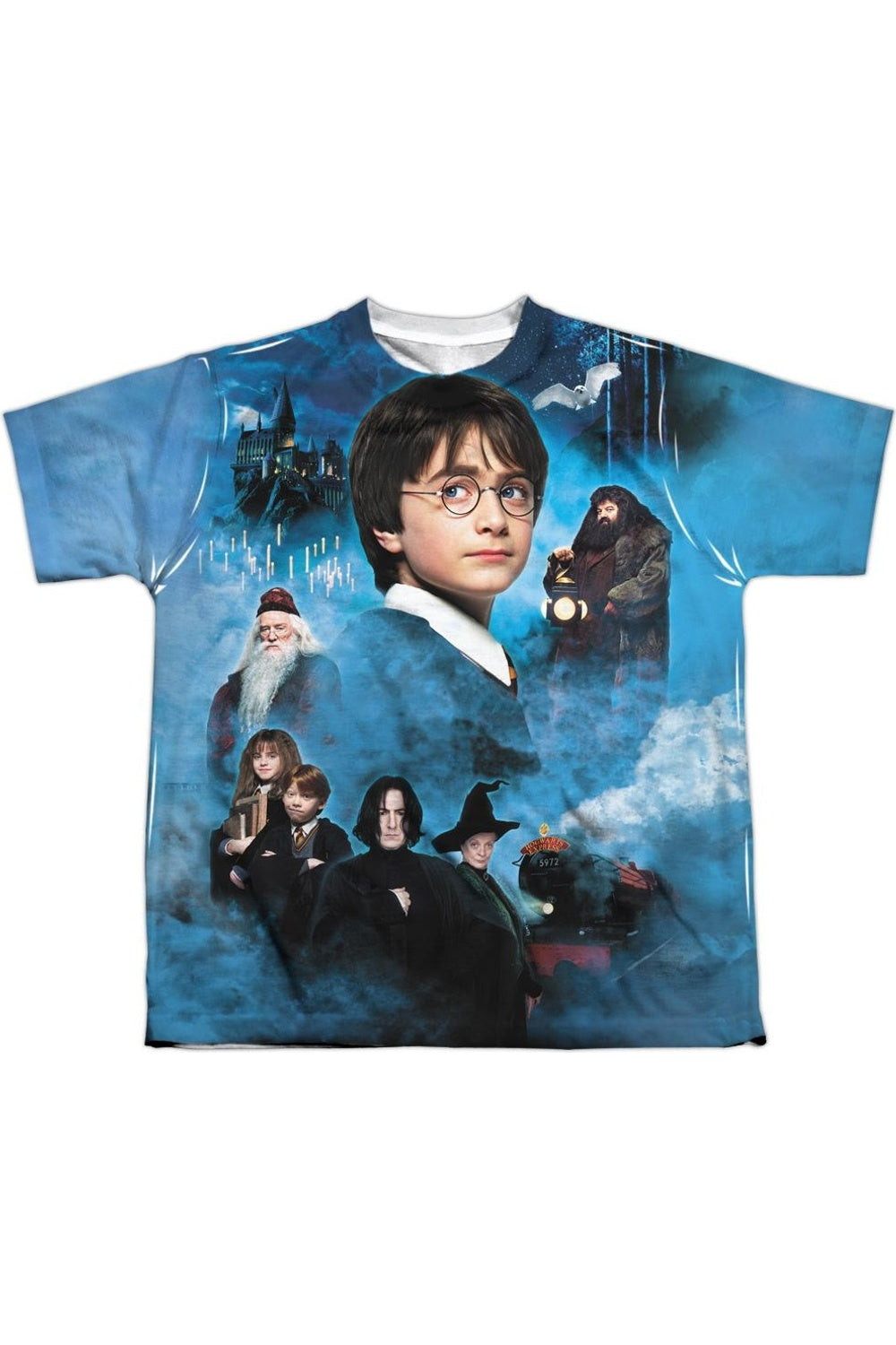 Футболка с коротким рукавом для детей "Первый курс Гарри Поттера" Gildan, белый
Футболка с коротким рукавом для детей "Первый курс Гарри Поттера" Gildan, белый