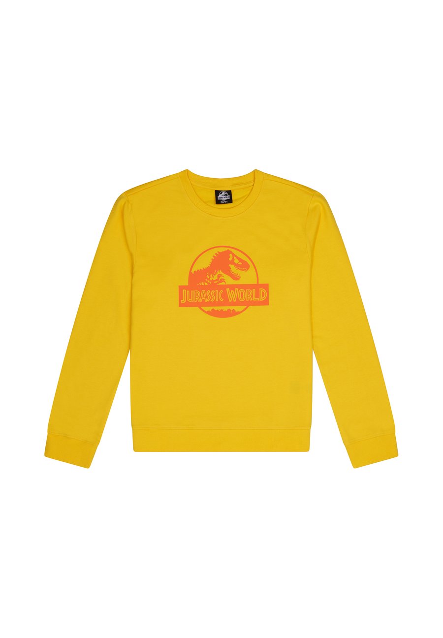 Толстовка Jurassic World JURASSIC WORLD KINDER, Gelb/Yellow
Толстовка Jurassic World JURASSIC WORLD KINDER, Gelb/Yellow
