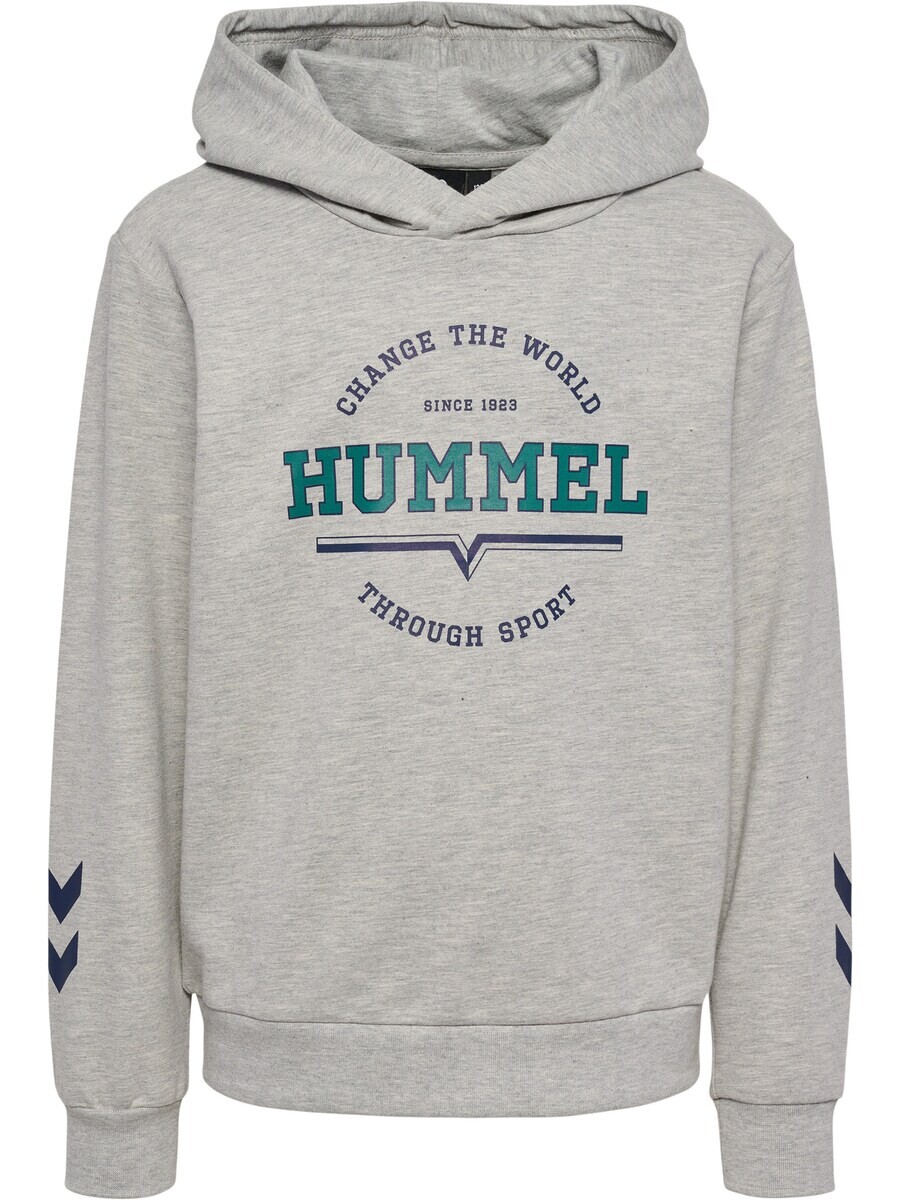 Толстовка Hummel ASHER, пятнистый серый 
Толстовка Hummel ASHER, пятнистый серый