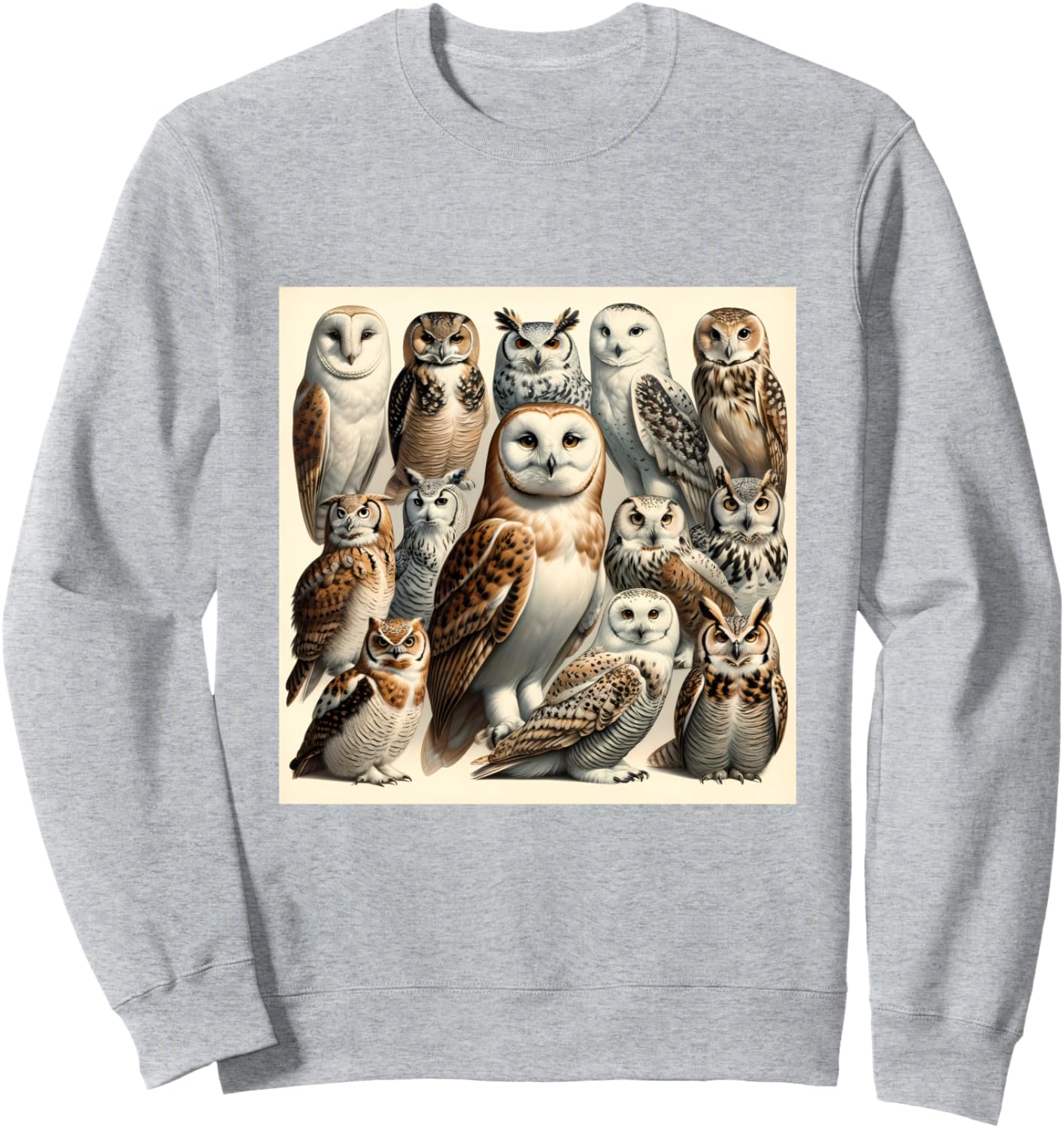 Толстовка древнегреческая сова, яркая птица, гик, бохо, природа Owl Gifts And Shirts, серый
Толстовка древнегреческая сова, яркая птица, гик, бохо, природа Owl Gifts And Shirts, серый