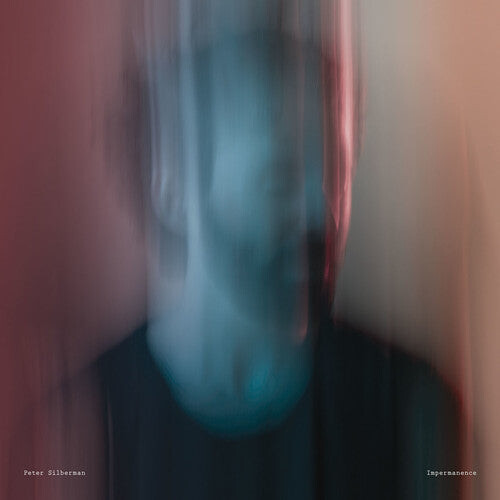 Виниловая пластинка Silberman, Peter - Impermanence
Виниловая пластинка Silberman, Peter - Impermanence