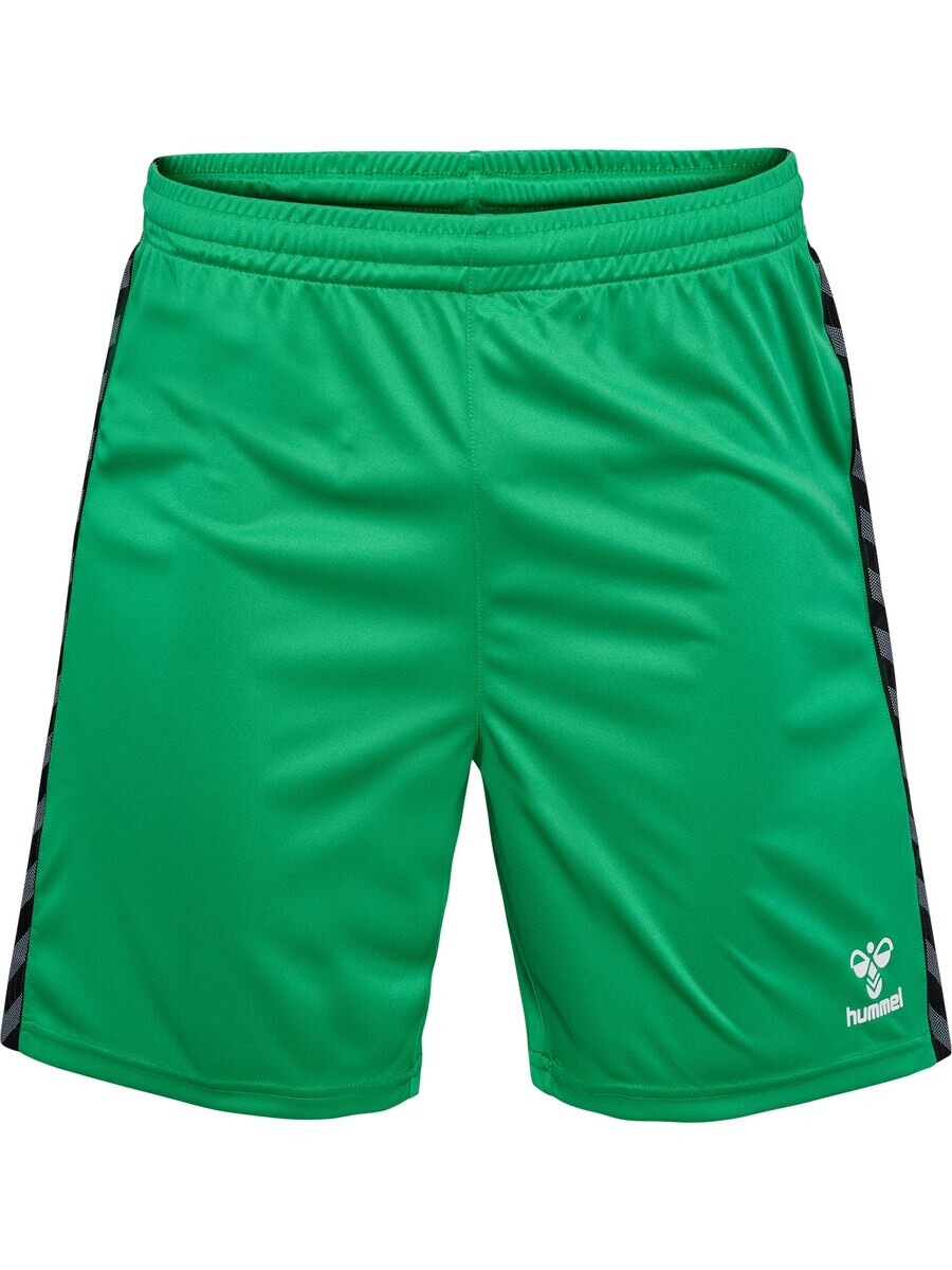 Тренировочные брюки Hummel AUTHENTIC, цвет Grass Green
Тренировочные брюки Hummel AUTHENTIC, цвет Grass Green