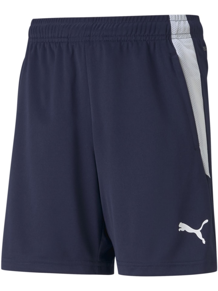 Спортивные шорты TeamLIGA Training Shorts Jr синего цвета Puma
Спортивные шорты TeamLIGA Training Shorts Jr синего цвета Puma