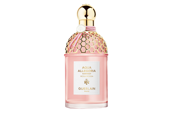Туалетная вода Guerlain Aqua Allegoria Harvest Rosa Rossa, 125 мл
Туалетная вода Guerlain Aqua Allegoria Harvest Rosa Rossa, 125 мл