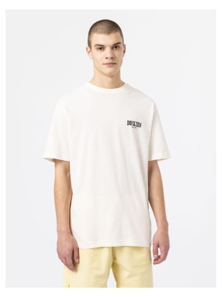 Футболка Dickies Tshirt, белый
Футболка Dickies Tshirt, белый