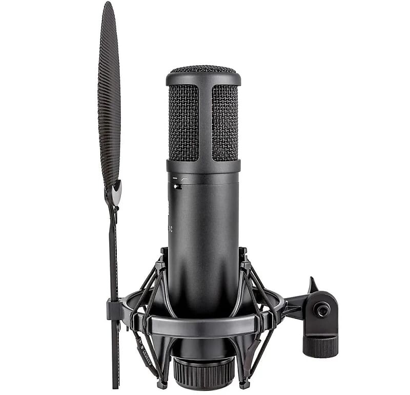 Конденсаторный микрофон sE Electronics sE2200 Large Diaphragm Cardioid Condenser Microphone
Конденсаторный микрофон sE Electronics sE2200 Large Diaphragm Cardioid Condenser Microphone