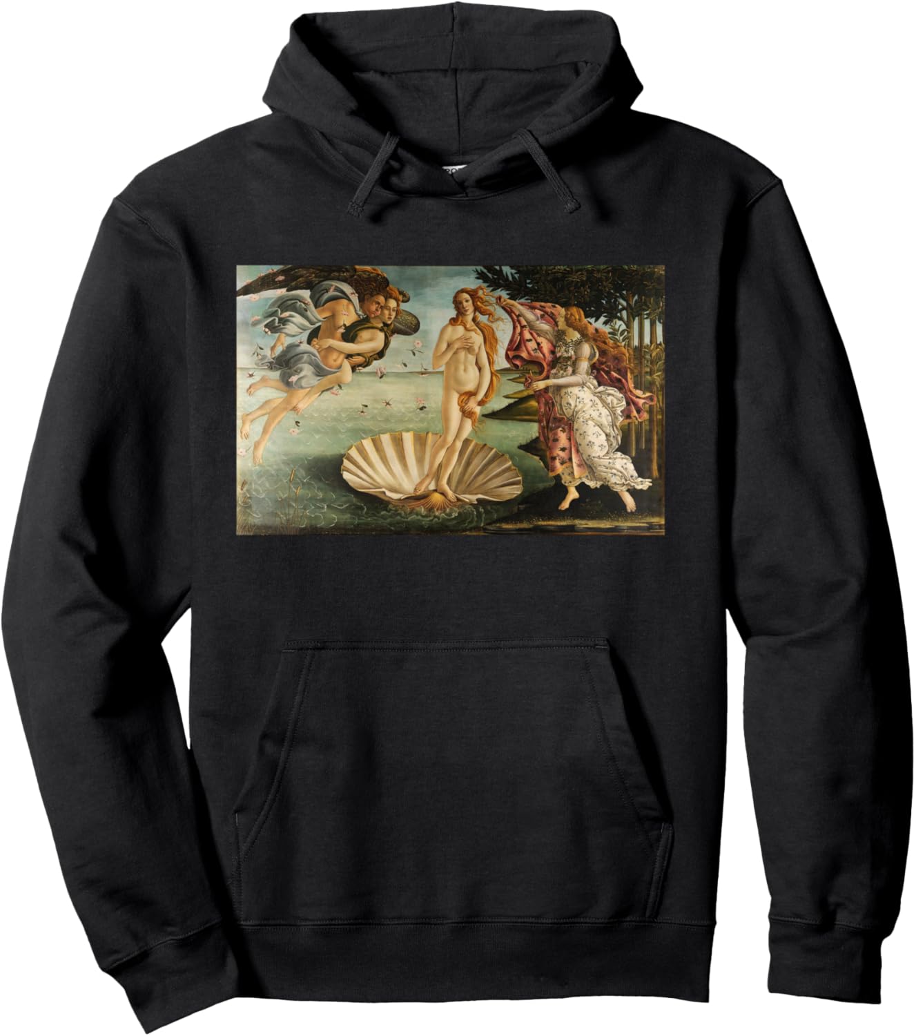 Худи с изображением картины Сандро Боттичелли «Рождение Венеры» Great Art The Birth Of Venus Painting, черный
Худи с изображением картины Сандро Боттичелли «Рождение Венеры» Great Art The Birth Of Venus Painting, черный