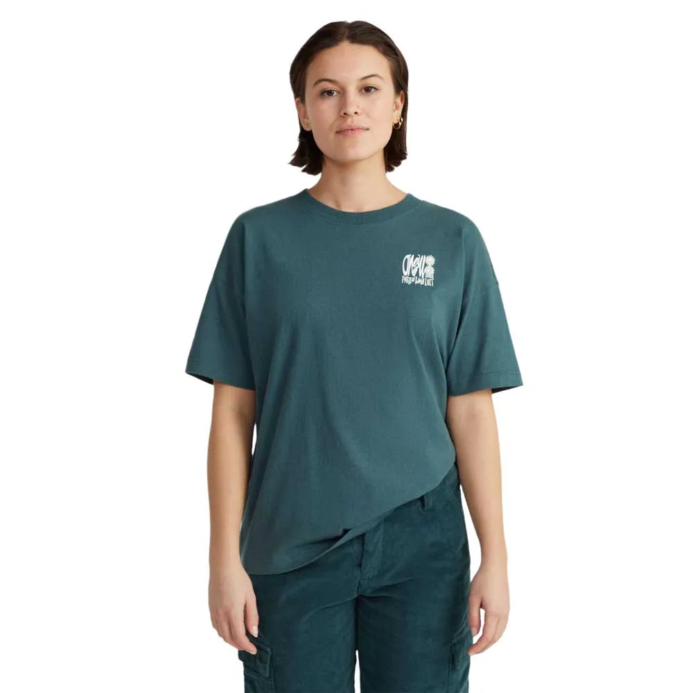 Футболка с коротким рукавом O´neill Surf Heroes Loose, синий
Футболка с коротким рукавом O´neill Surf Heroes Loose, синий