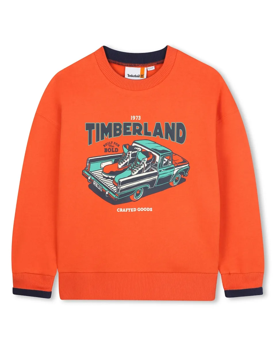 Детский свитер с длинным рукавом Timberland, оранжевый
Детский свитер с длинным рукавом Timberland, оранжевый