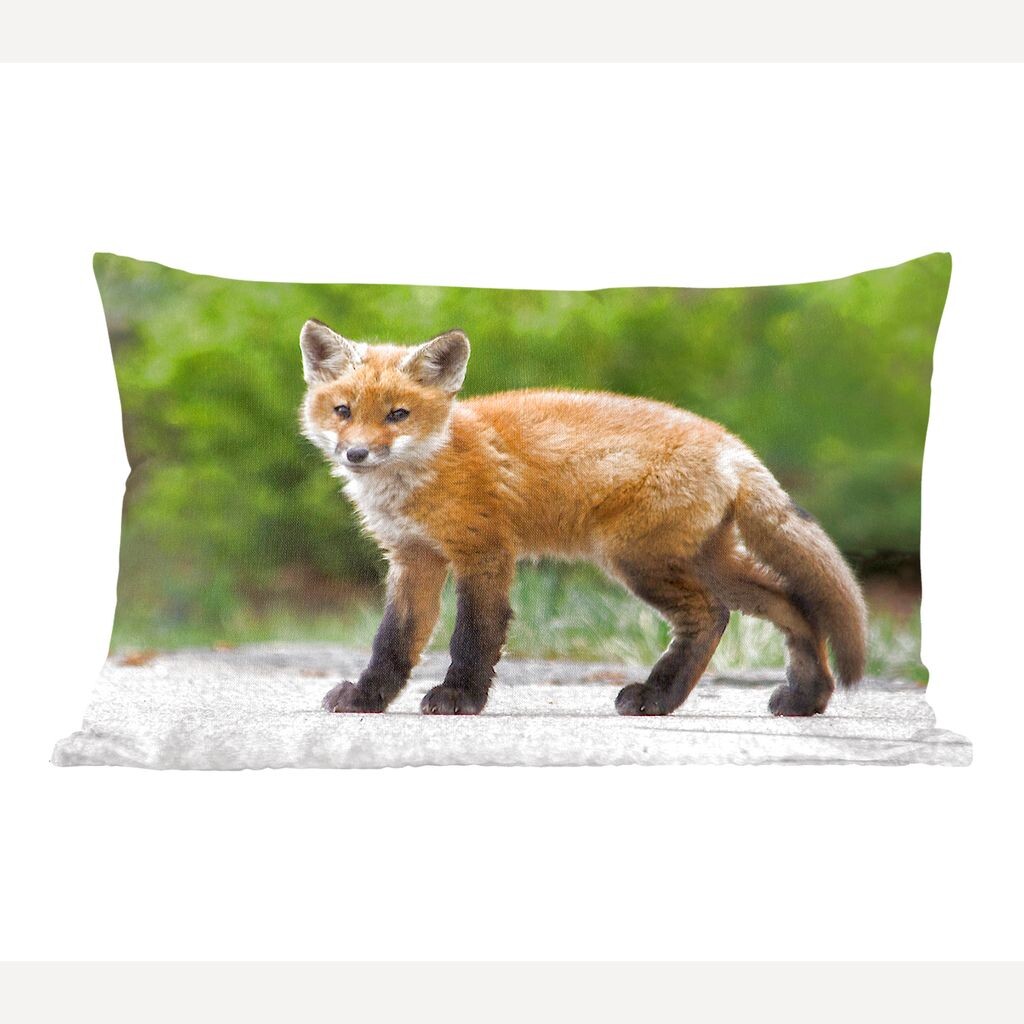 MuchoWow Fox - Foxes Young - 50x30 см - чехлы на диванные подушки - без наполнителя
MuchoWow Fox - Foxes Young - 50x30 см - чехлы на диванные подушки - без наполнителя