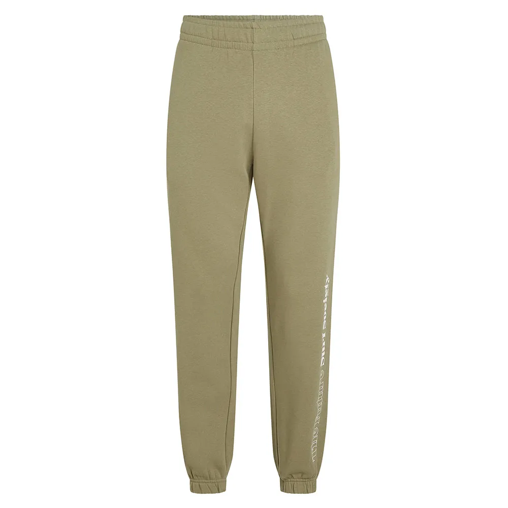 Спортивные брюки O´neill The Future Surf Society, бежевый
Спортивные брюки O´neill The Future Surf Society, бежевый