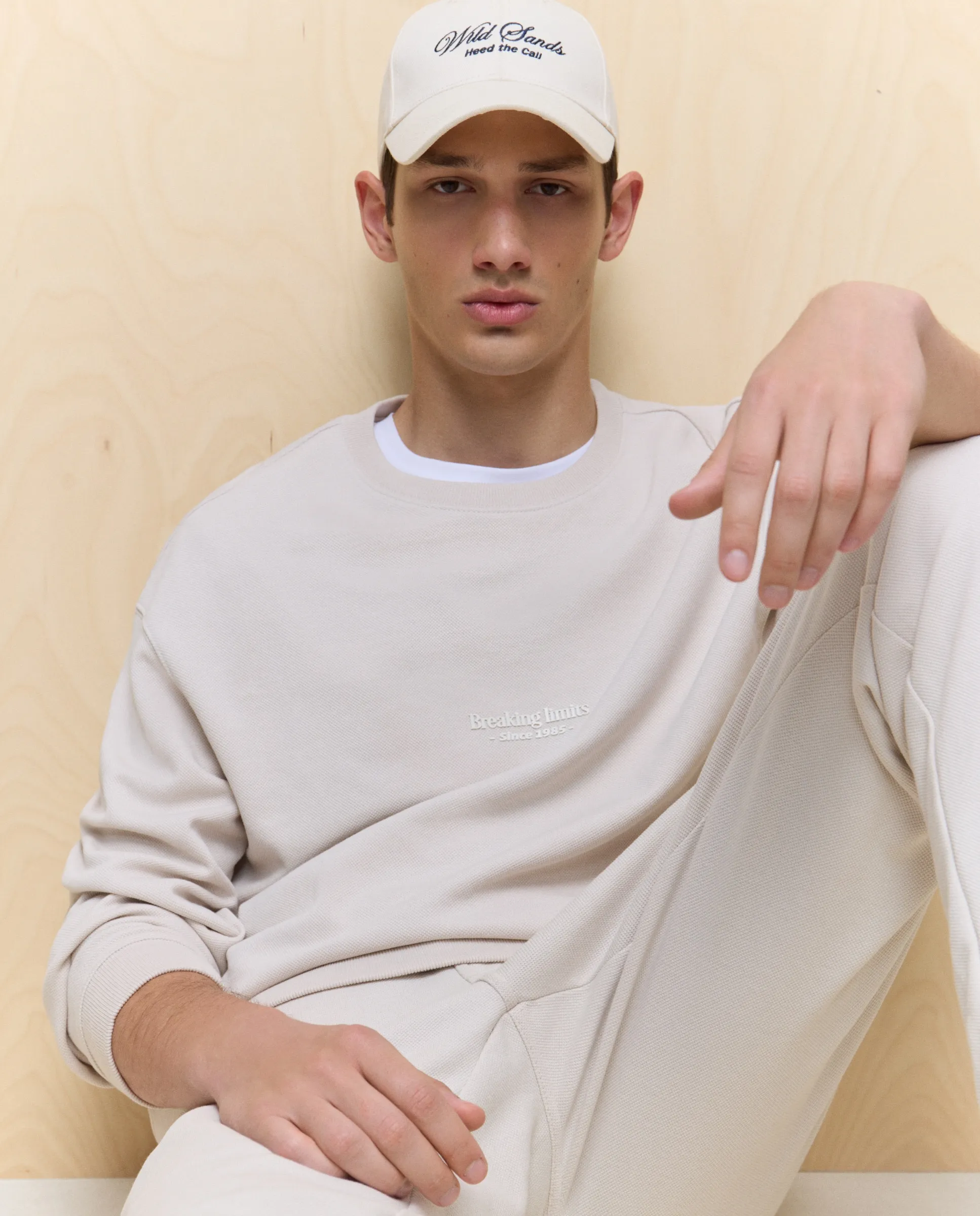 Мужская толстовка Easy Wear, серый
Мужская толстовка Easy Wear, серый