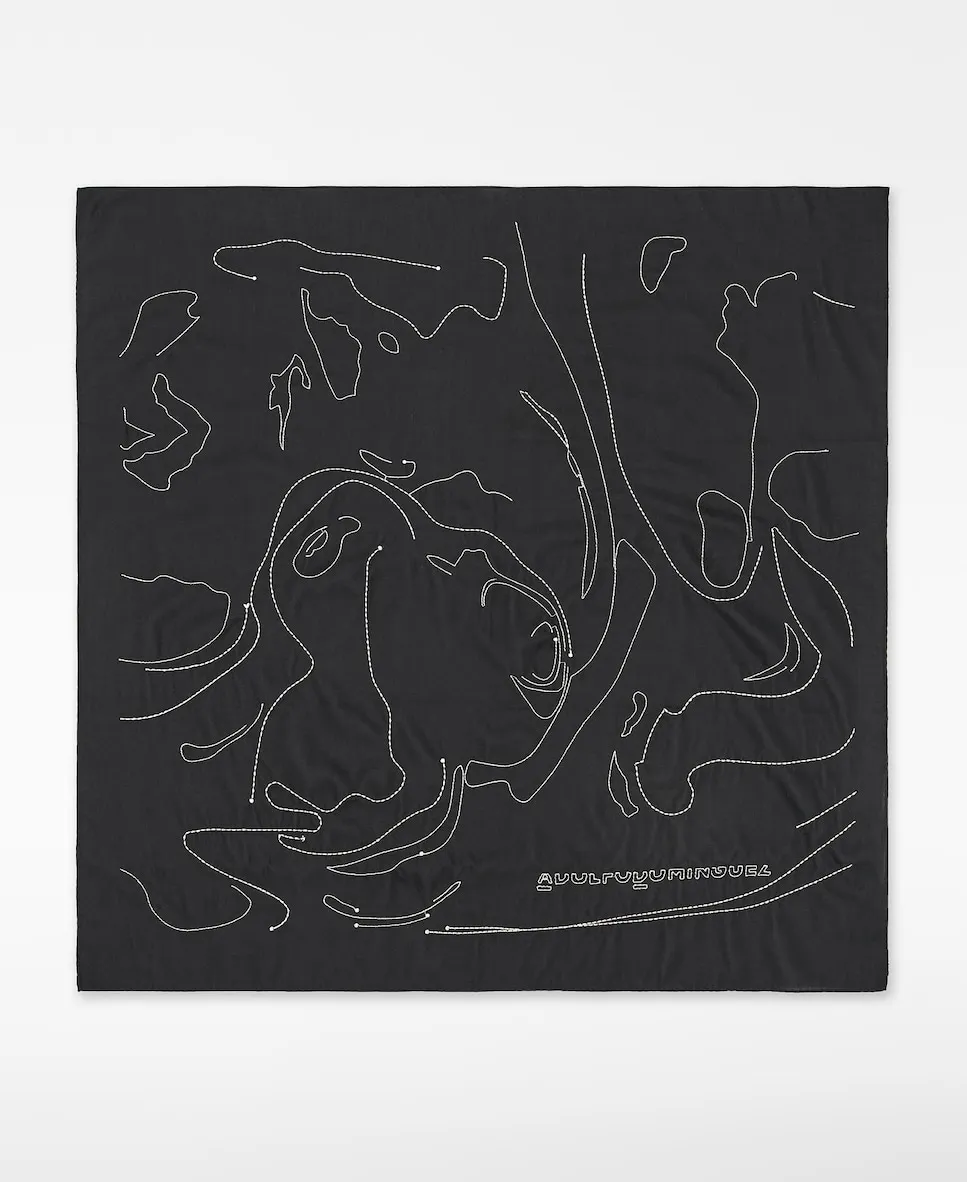 Женский квадратный вышитый платок Adolfo Dominguez, черный
Женский квадратный вышитый платок Adolfo Dominguez, черный