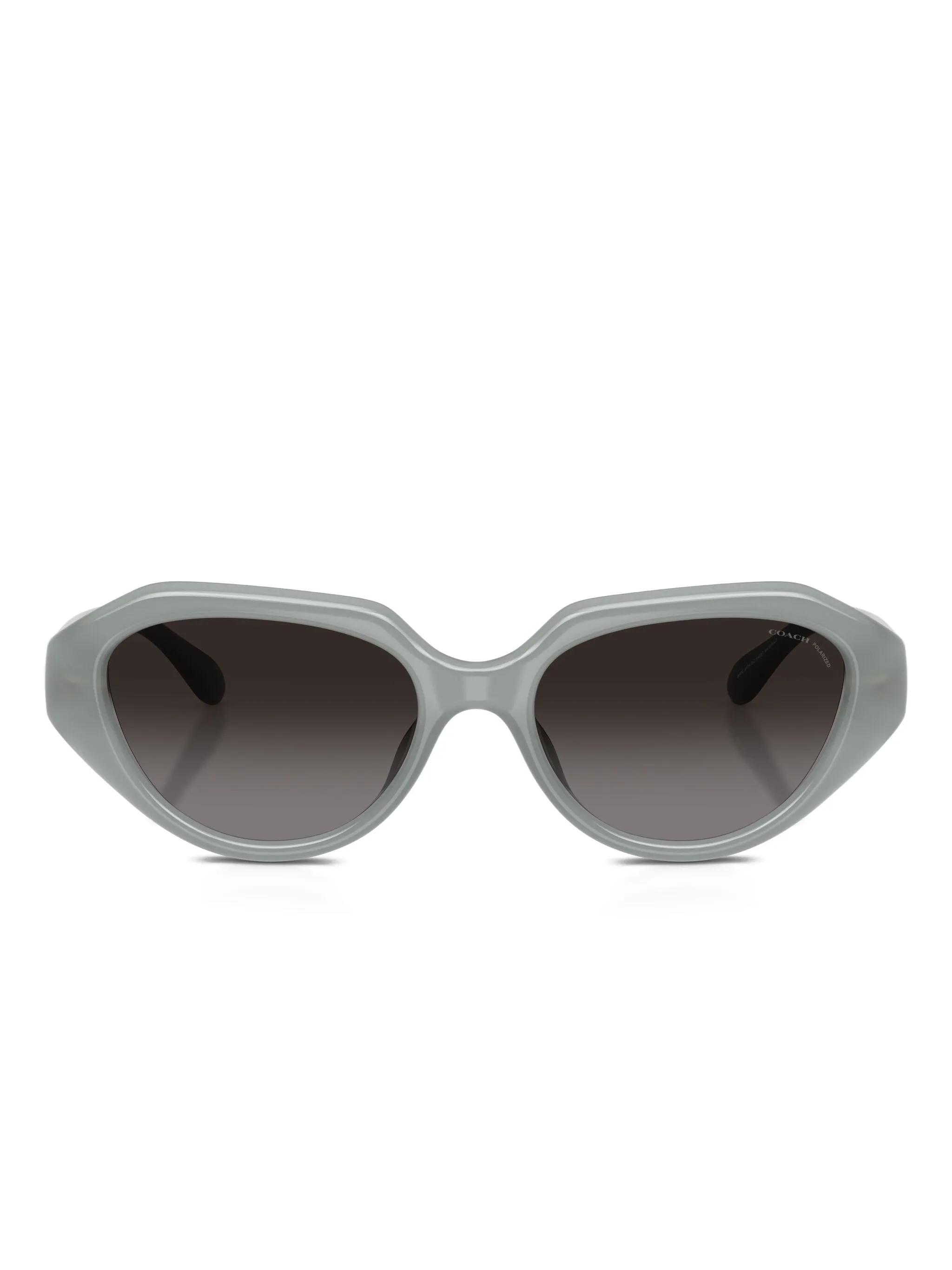 Солнцезащитные очки в оправе кошачий глаз Coach, зеленый
Солнцезащитные очки в оправе кошачий глаз Coach, зеленый