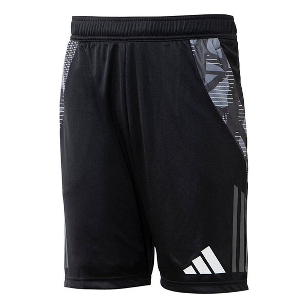 Шорты tiro 24 соревнования тренировочные футбольные шорты азиатские размеры Adidas, черный
Шорты tiro 24 соревнования тренировочные футбольные шорты азиатские размеры Adidas, черный