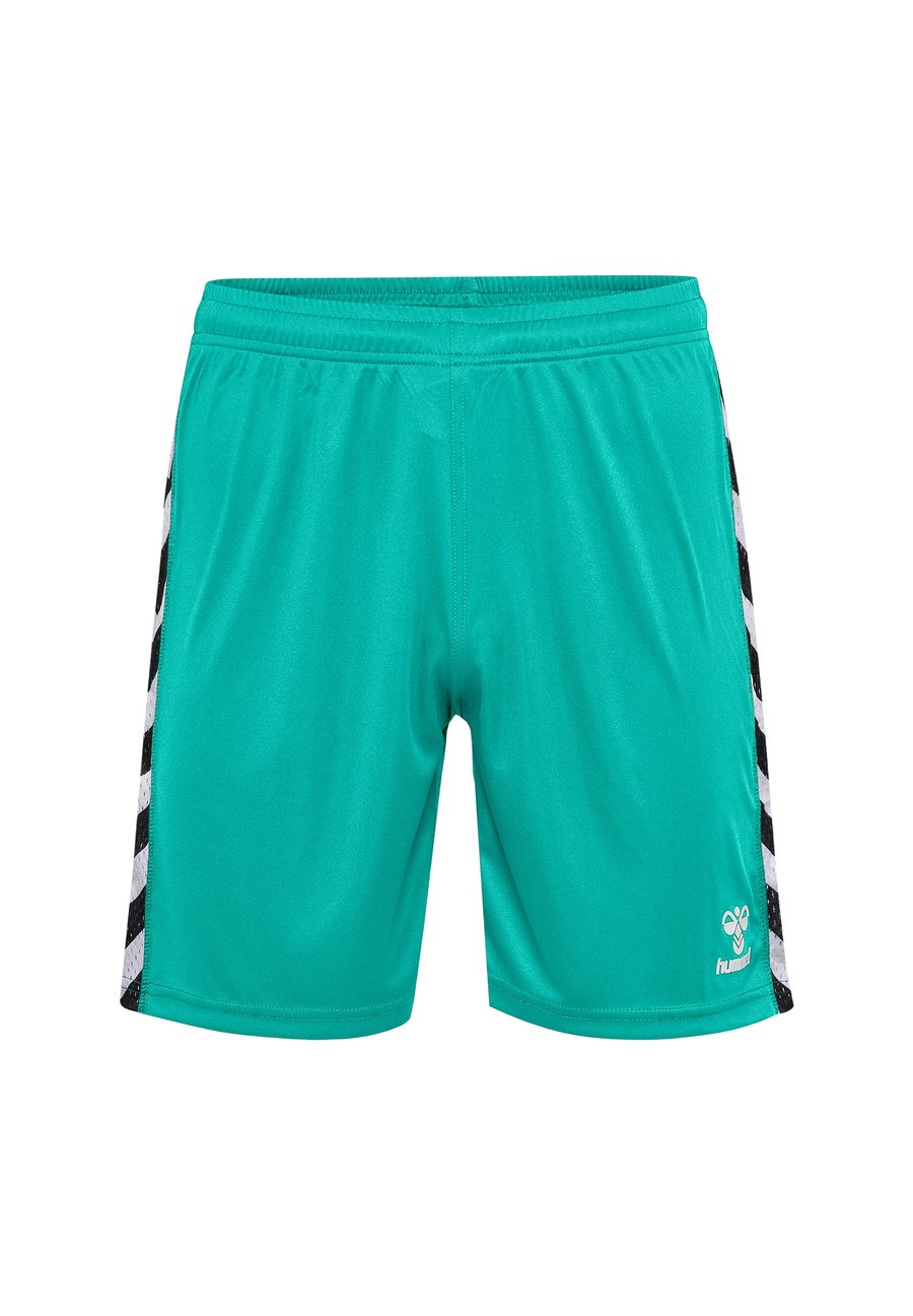 Спортивные шорты Hummel Sports shorts, Atlantis/Turquoise
Спортивные шорты Hummel Sports shorts, Atlantis/Turquoise