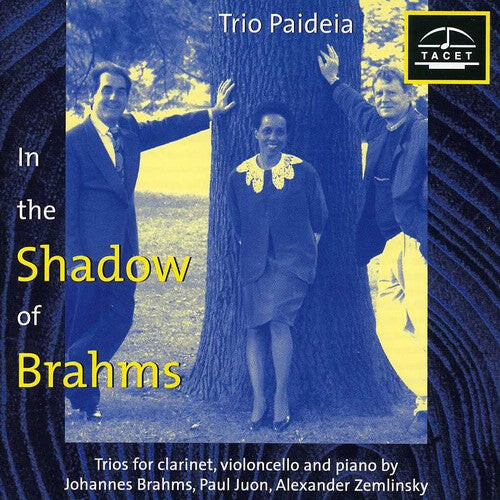 CD диск Brahms / Zemlinsky / Juon / Trio Paideia: Im Schatten Von Brahms 1 
CD диск Brahms / Zemlinsky / Juon / Trio Paideia: Im Schatten Von Brahms 1