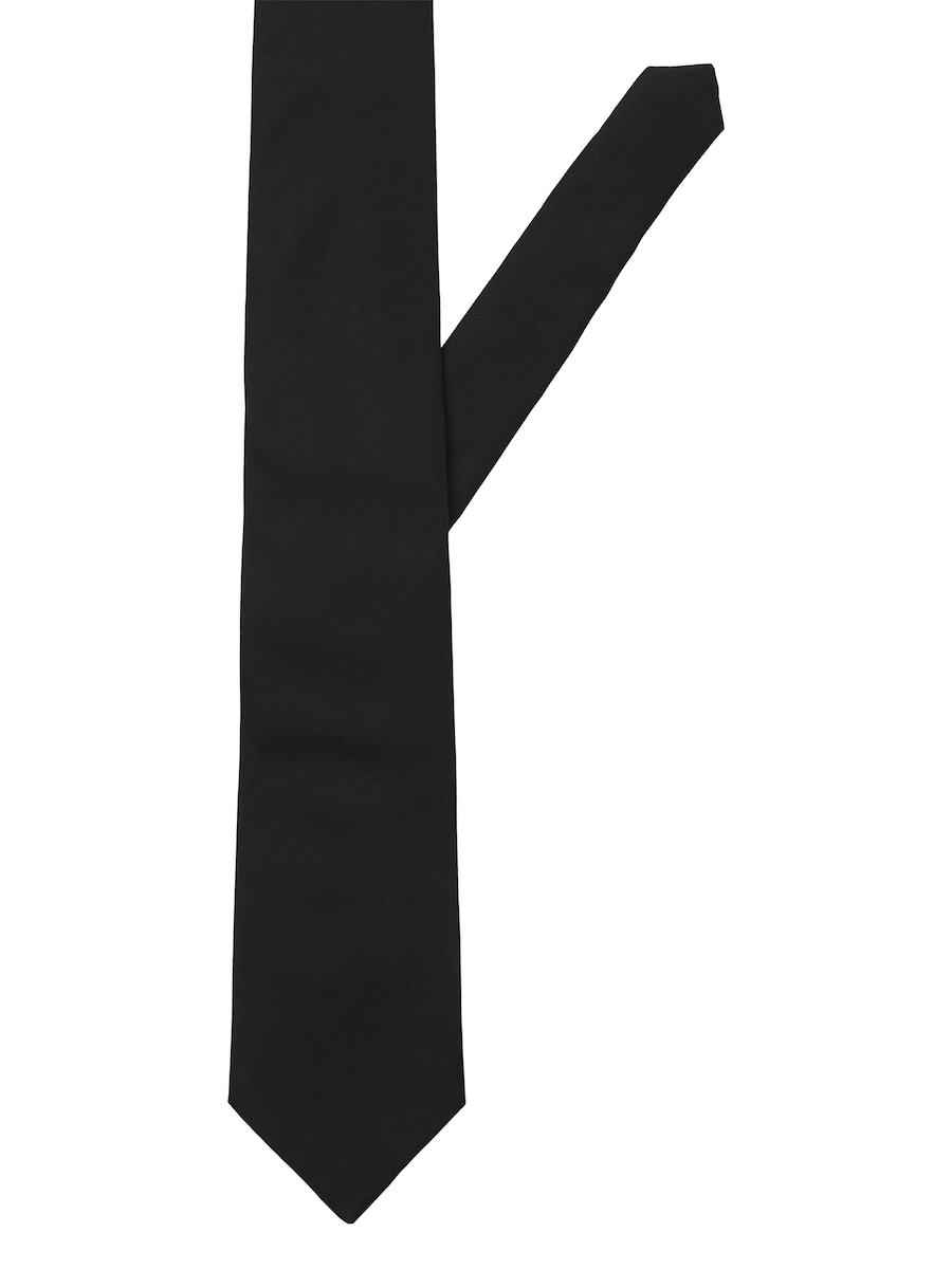 Галстук JACK & JONES TONY, черный
Галстук JACK & JONES TONY, черный