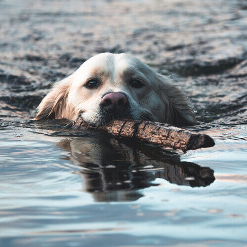 Виниловая пластинка Orebolo: The Chateau
Виниловая пластинка Orebolo: The Chateau