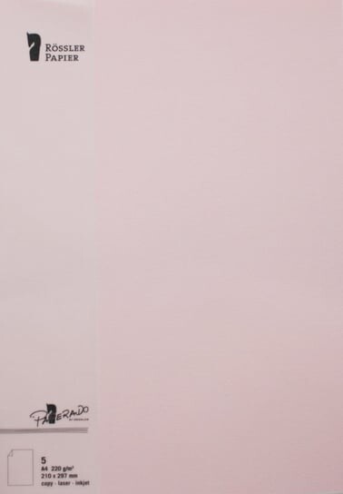 Бумажная Карточка А4 5 Шт. Розовый Inna marka
Бумажная Карточка А4 5 Шт. Розовый Inna marka