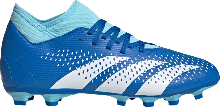 Кроссовки Predator Accuracy.4 'Marinerush Pack', синий
Кроссовки Predator Accuracy.4 'Marinerush Pack', синий