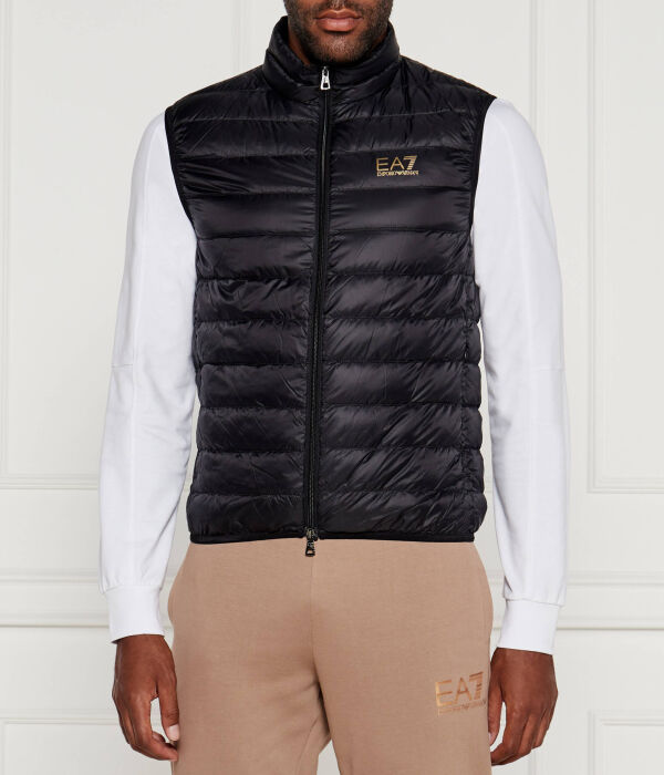 Жилетка мужская Ea7 Regular Fit, черный
Жилетка мужская Ea7 Regular Fit, черный