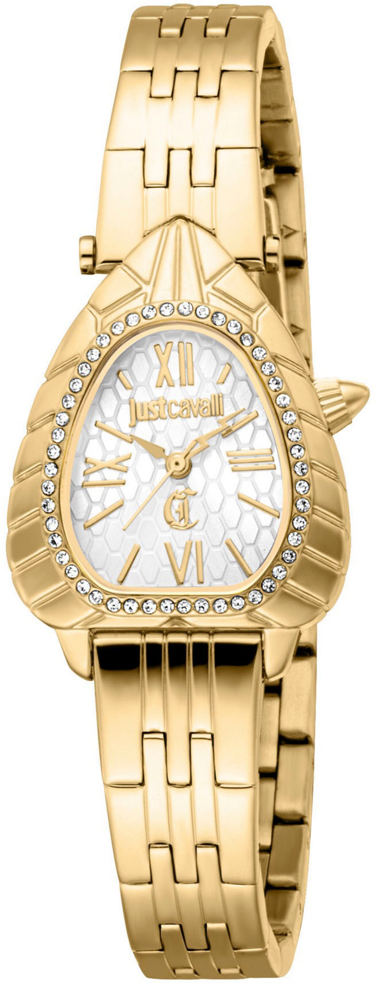 Just Cavalli Золотые часы Analog
Just Cavalli Золотые часы Analog