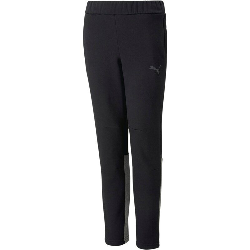 Спортивные штаны TeamCup Casuals Jr Puma, черный
Спортивные штаны TeamCup Casuals Jr Puma, черный