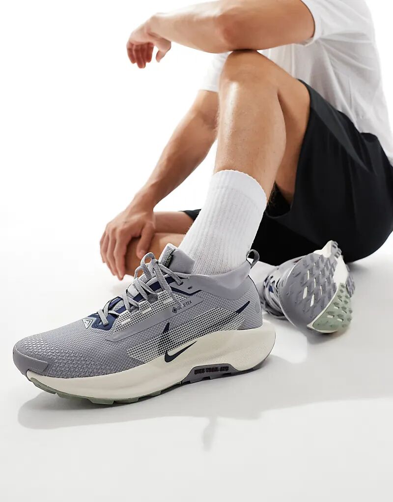 Кроссовки ReactX Pegasus Trail 5 Gore-Tex серого цвета Nike Running 
Кроссовки ReactX Pegasus Trail 5 Gore-Tex серого цвета Nike Running