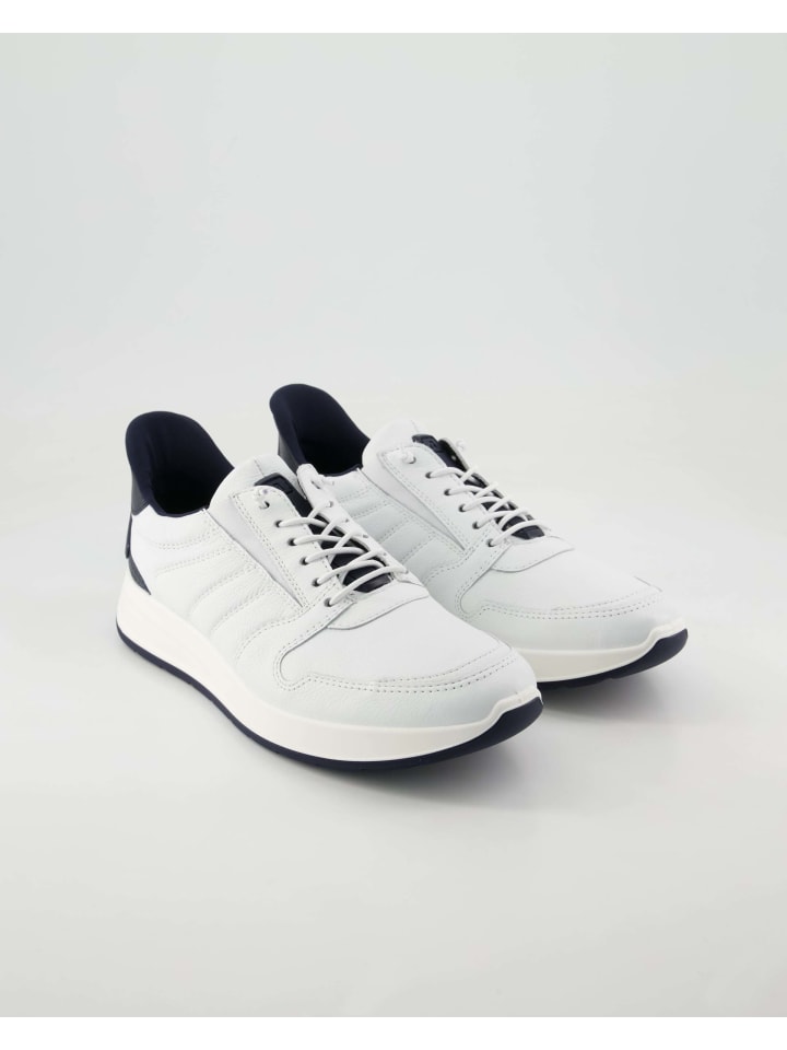 Кроссовки на шнуровке Ara Shoes, белый
Кроссовки на шнуровке Ara Shoes, белый