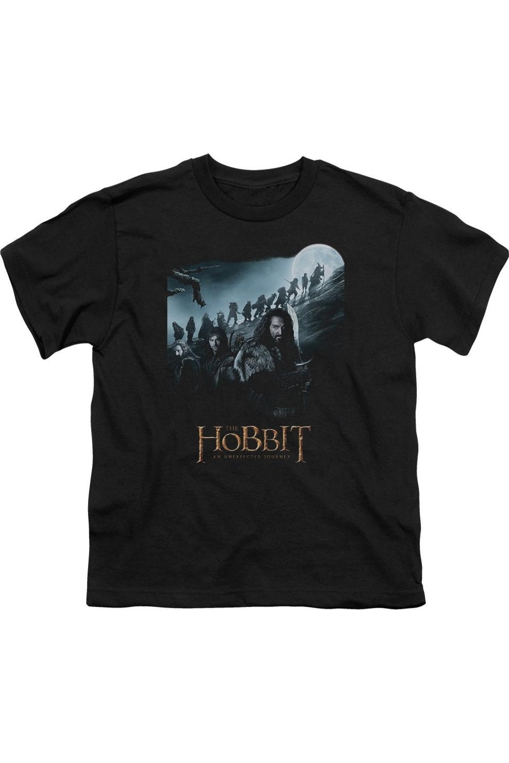 Футболка с коротким рукавом для детей "Хоббит: Путешествие" Gildan, черный
Футболка с коротким рукавом для детей "Хоббит: Путешествие" Gildan, черный