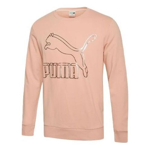 Свитер classics logo sweater 'pink black' Puma, розовый
Свитер classics logo sweater 'pink black' Puma, розовый