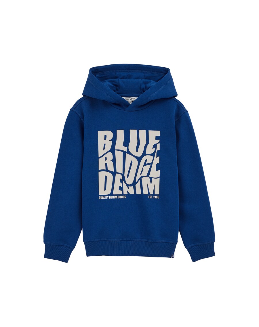 Толстовка WE Fashion, Cobalt blue
Толстовка WE Fashion, Cobalt blue