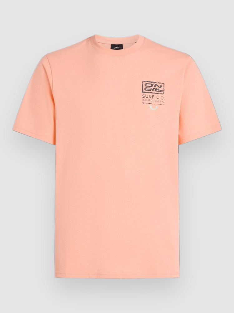 Футболка O'Neill Retro Graphic T-Shirt, coral pop, Розовый, Футболка O'Neill Retro Graphic T-Shirt, coral pop
Футболка O'Neill Retro Graphic T-Shirt, coral pop, Розовый, Футболка O'Neill Retro Graphic T-Shirt, coral pop