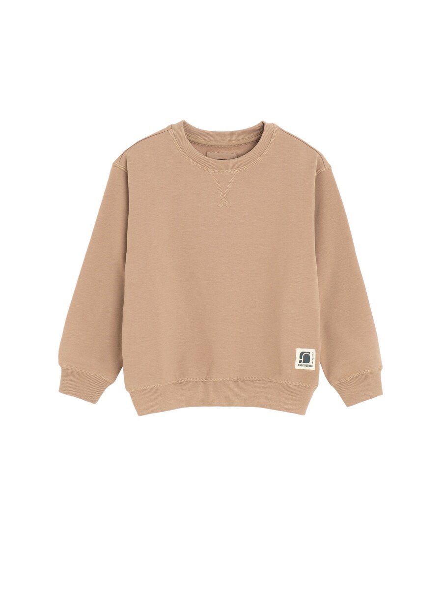 Толстовка Cool Club, коричневый
Толстовка Cool Club, коричневый