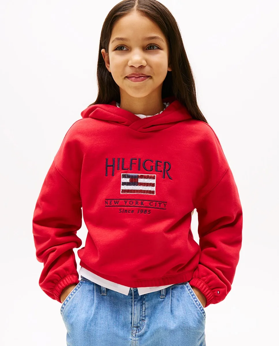 Толстовка с капюшоном для девочек с логотипом из пайеток спереди Tommy Hilfiger, красный
Толстовка с капюшоном для девочек с логотипом из пайеток спереди Tommy Hilfiger, красный