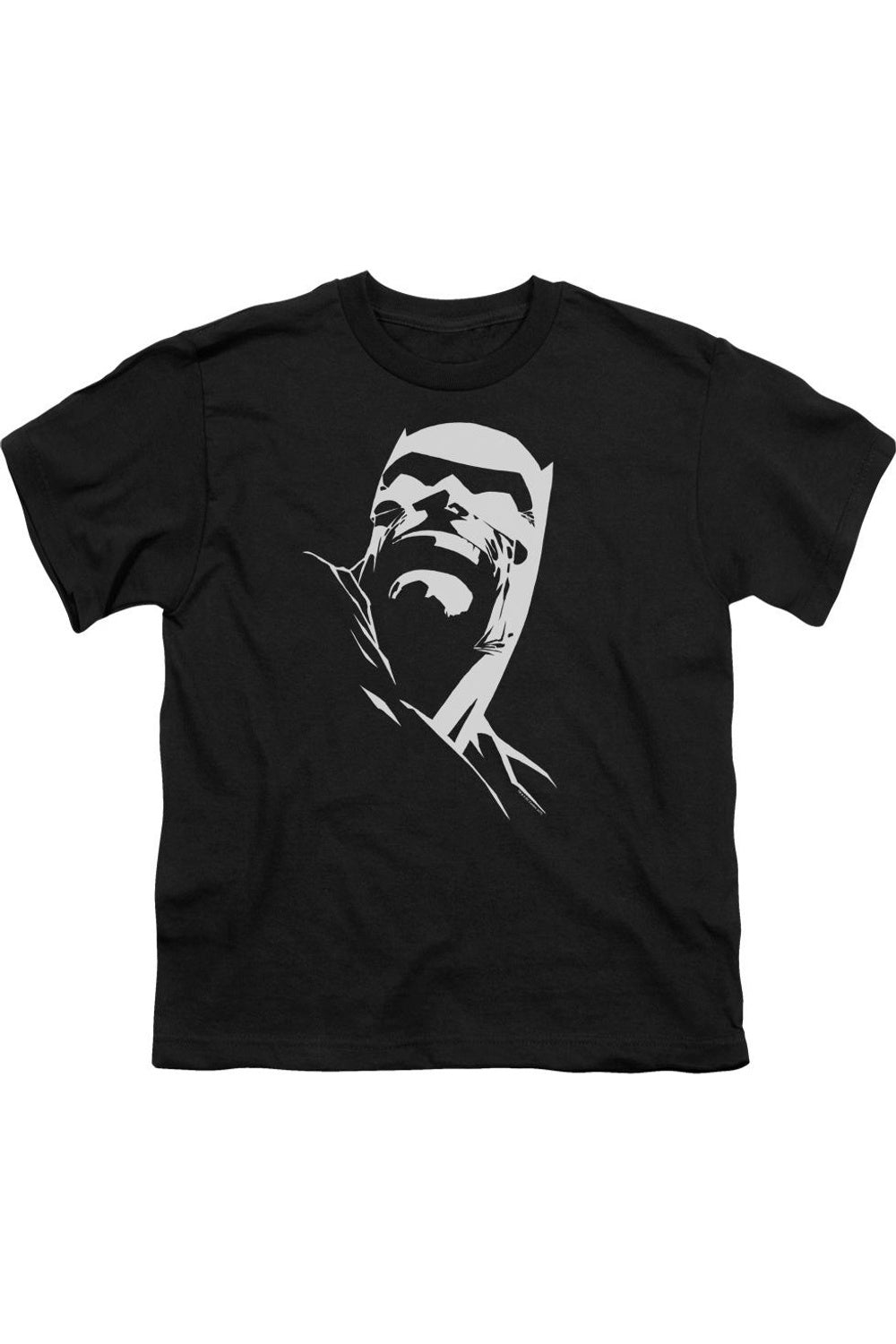 Футболка детская Batman Dkr с коротким рукавом Gildan, черный
Футболка детская Batman Dkr с коротким рукавом Gildan, черный