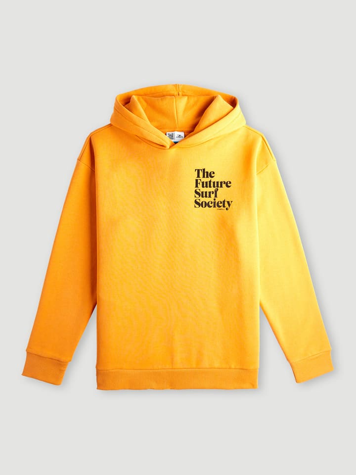 Толстовка Future Surf желтого цвета O'Neill
Толстовка Future Surf желтого цвета O'Neill
