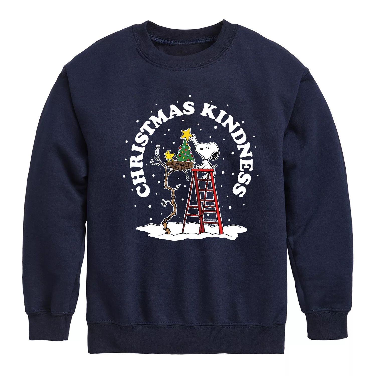 Флис «Рождественская доброта» для мальчиков 8–20 лет Licensed Character, синий
Флис «Рождественская доброта» для мальчиков 8–20 лет Licensed Character, синий