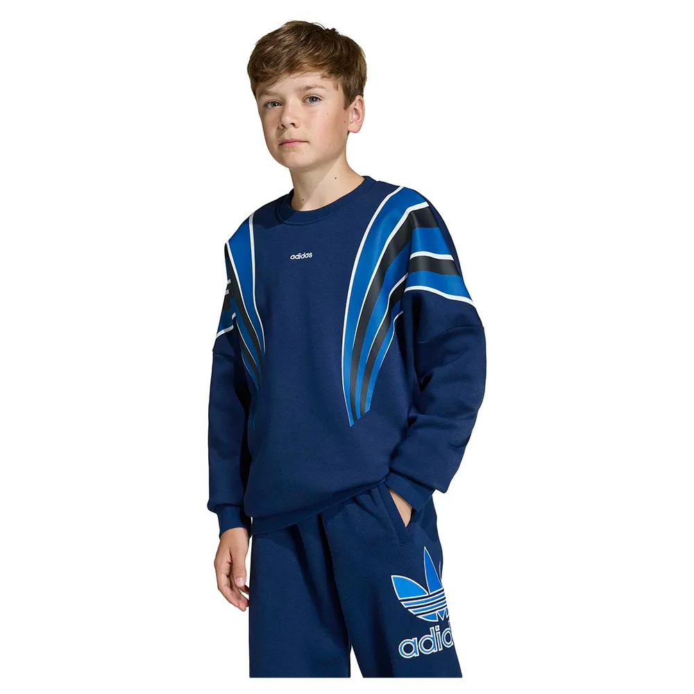 Толстовка adidas Originals Loose Batwing Santiago, синий
Толстовка adidas Originals Loose Batwing Santiago, синий
