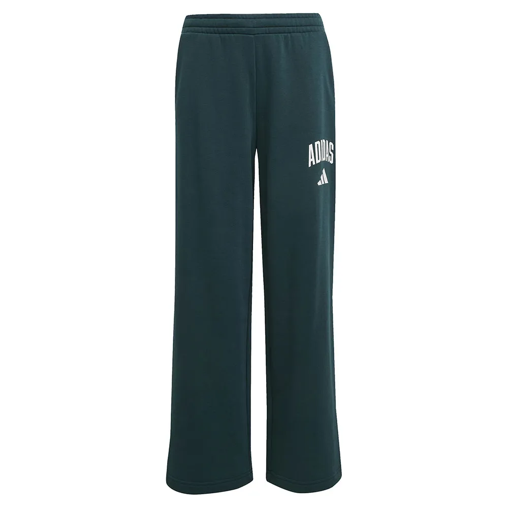 Adidas Сезонные товары первой необходимости Колледжская типография спортивные брюки, зеленый
Adidas Сезонные товары первой необходимости Колледжская типография спортивные брюки, зеленый