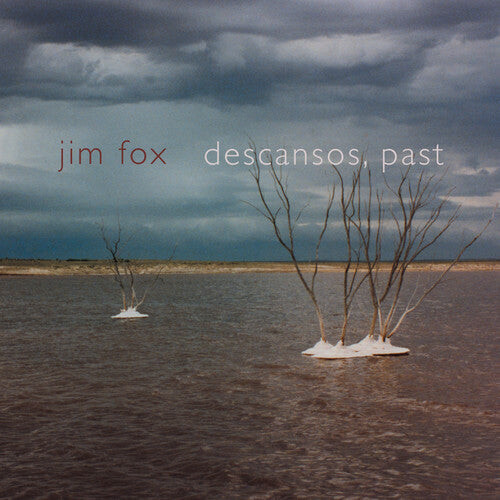 CD диск Fox / Newton / Duke-Kirkpatrick / Catron / Perry: Descansos Past
CD диск Fox / Newton / Duke-Kirkpatrick / Catron / Perry: Descansos Past