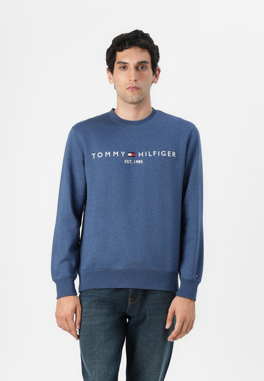 Толстовка Tommy Hilfiger LOGO, Aegean Sea /Blue
Толстовка Tommy Hilfiger LOGO, Aegean Sea /Blue