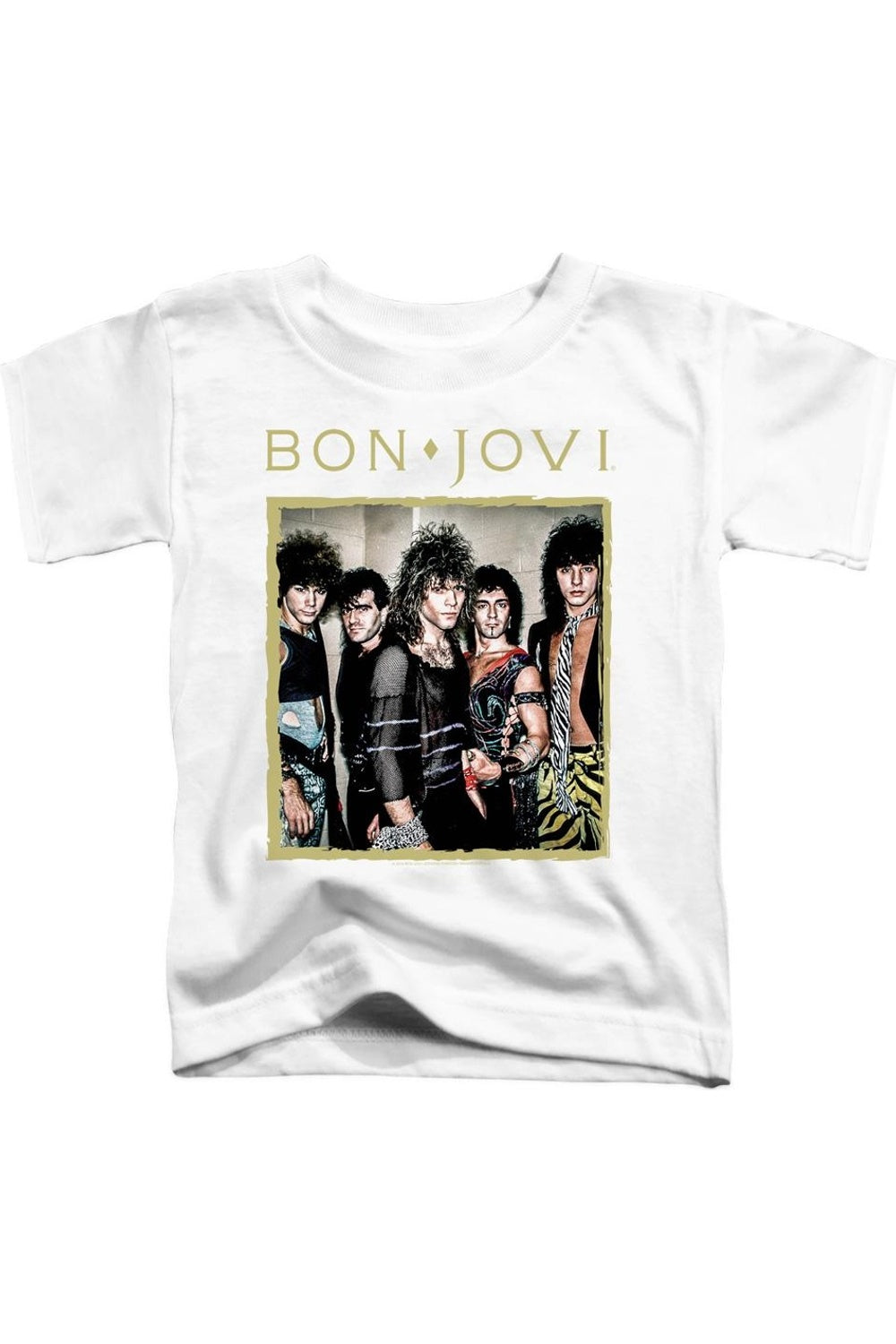 Футболка с коротким рукавом Bon Jovi в рамке для детей Gildan, белый
Футболка с коротким рукавом Bon Jovi в рамке для детей Gildan, белый