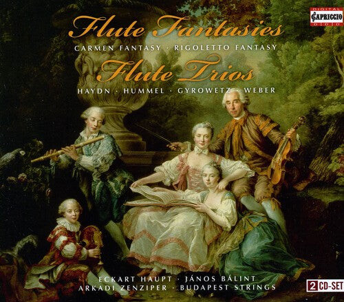 CD диск Haydn / Haupt / Teutsch / Budapest Strings: Flute Fantasies / Flute Trios
CD диск Haydn / Haupt / Teutsch / Budapest Strings: Flute Fantasies / Flute Trios
