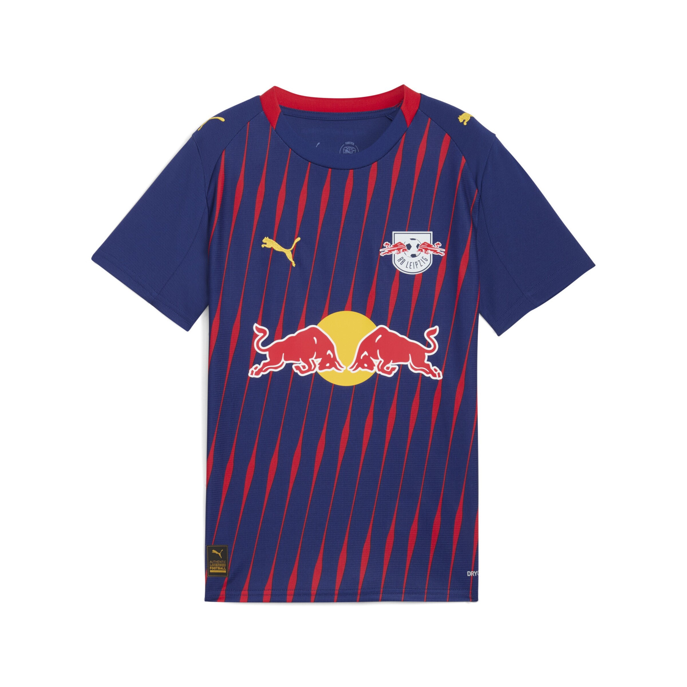 PUMA Футболка Performance 'RB Leipzig 25/26' в темно-синем цвете
PUMA Футболка Performance 'RB Leipzig 25/26' в темно-синем цвете