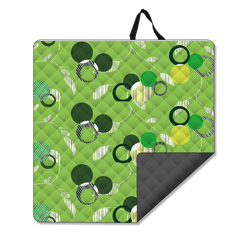 Коврик для пикника BSWolf, коврик для кемпинга на открытом воздухе, коврик для кемпинга со знаменитостями, зеленый коврик с Микки 200*150 см 1 1
Коврик для пикника BSWolf, коврик для кемпинга на открытом воздухе, коврик для кемпинга со знаменитостями, зеленый коврик с Микки 200*150 см 1 1