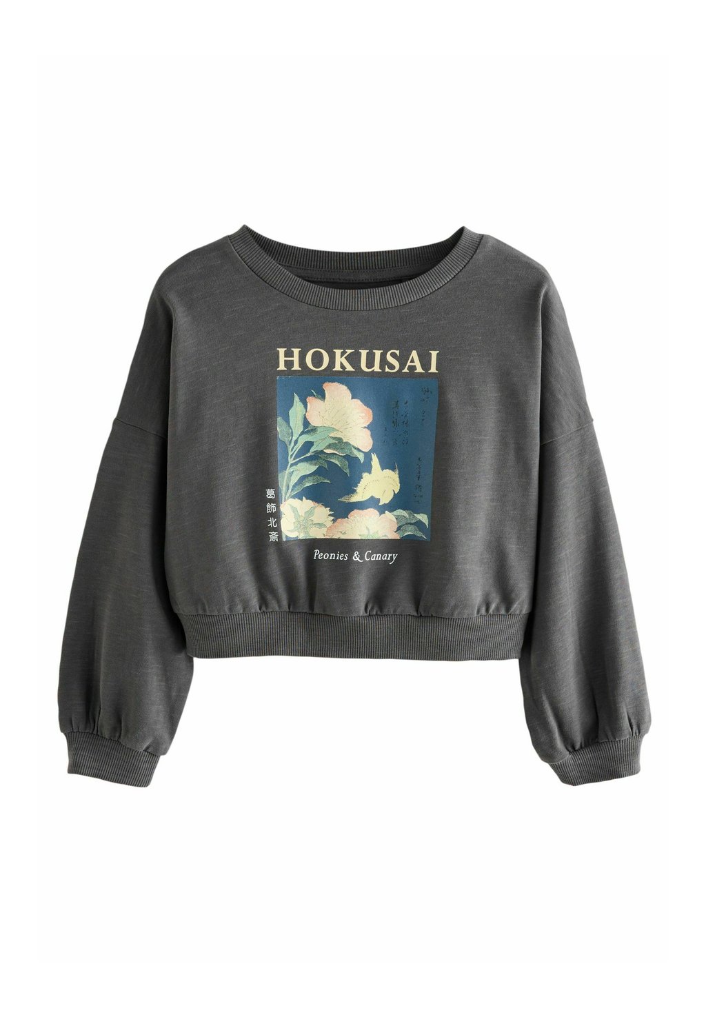 Толстовка HOKUSAI LICENSE Next, серый
Толстовка HOKUSAI LICENSE Next, серый