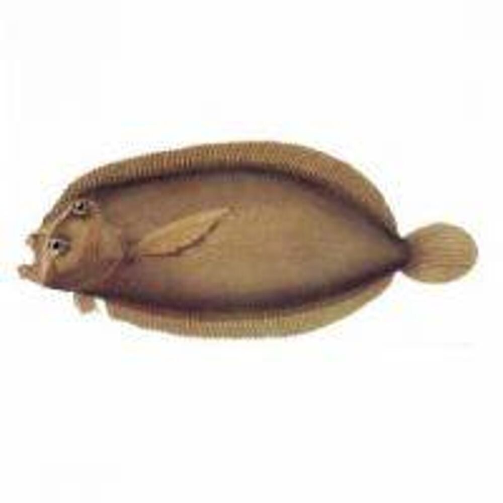 Диск CD Blue Water White Death - Blue Water White Death
Диск CD Blue Water White Death - Blue Water White Death