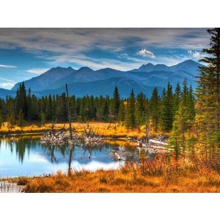 Натуральное эфирное масло чайного дерева 10 мл, Etja
Натуральное эфирное масло чайного дерева 10 мл, Etja